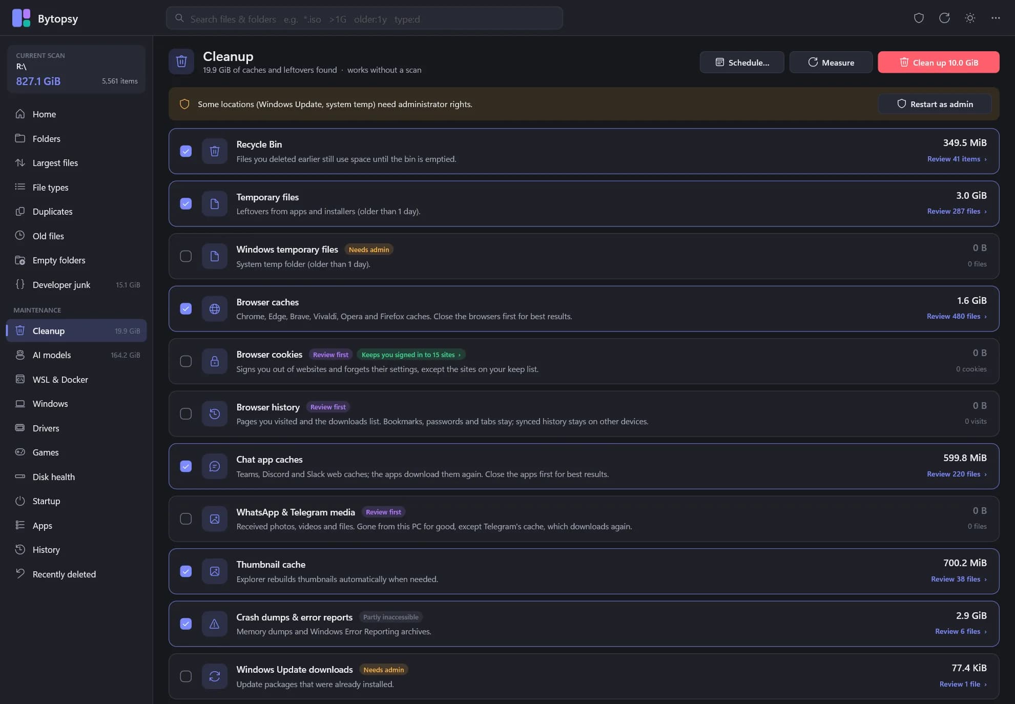 Bytopsy's Cleanup view: categories such as Recycle Bin, temporary files and browser caches, each with its size and a Review link.